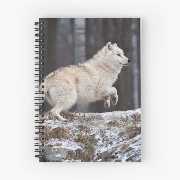 Item preview, Arctic Wolf  designed and sold by WolvesOnly.