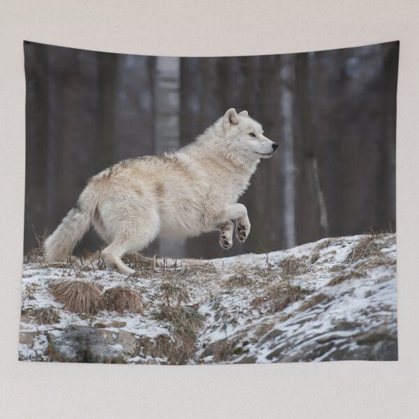 Item preview, Arctic Wolf  designed and sold by WolvesOnly.