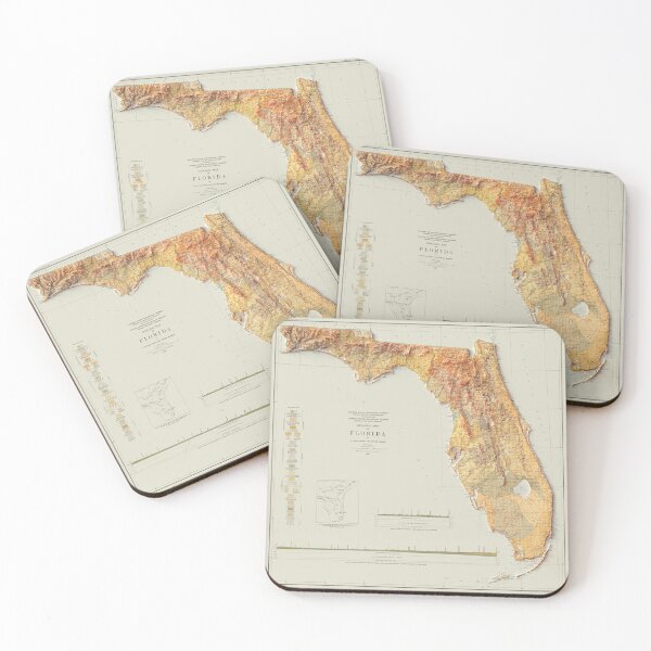 Item preview, 1929 Florida Relief Map 3D digitally-rendered designed and sold by ThinkAboutMaps.