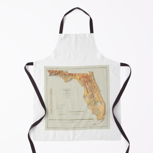 Item preview, 1929 Florida Relief Map 3D digitally-rendered designed and sold by ThinkAboutMaps.