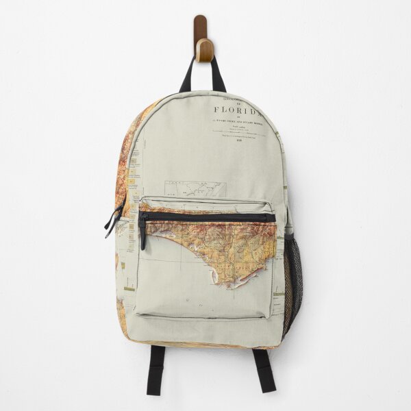 Item preview, 1929 Florida Relief Map 3D digitally-rendered designed and sold by ThinkAboutMaps.