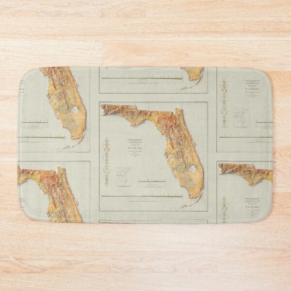 Item preview, 1929 Florida Relief Map 3D digitally-rendered designed and sold by ThinkAboutMaps.