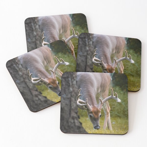 Artikelvorschau, Whitetail Buck Beweidung entworfen und verkauft von l-n-designs.