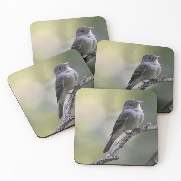 Item preview, Eastern Wood-Pewee designed and sold by LauraWolfArtist.
