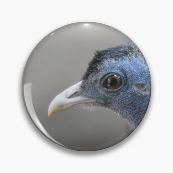 Item preview, Great Argus Photo designed and sold by LauraWolfArtist.