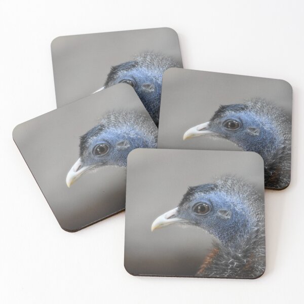 Item preview, Great Argus Photo designed and sold by LauraWolfArtist.