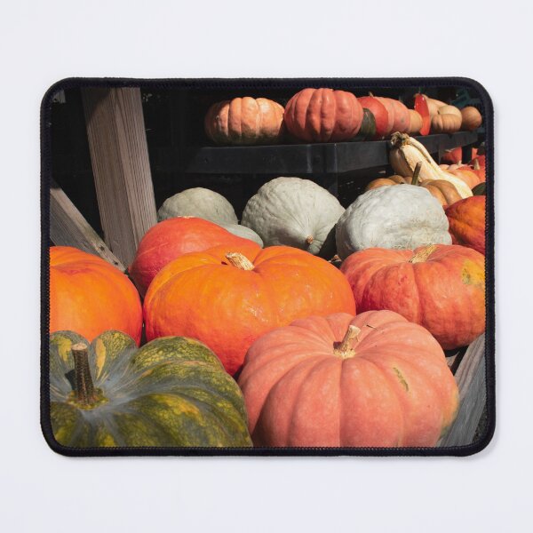 Item preview, Fall Squash designed and sold by l-n-designs.