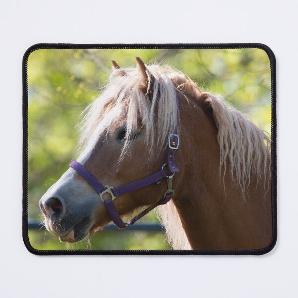 Item preview, Haflinger Pony designed and sold by l-n-designs.