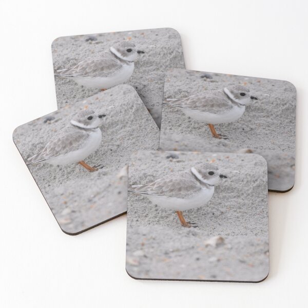 Item preview, Piping Plover Photo designed and sold by LauraWolfArtist.