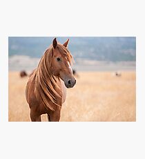 Proud To Be Free Photographic Print