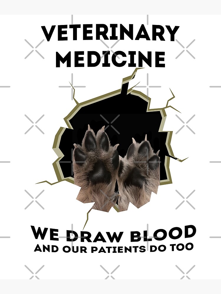 "Veterinary Medicine Vet Tech We Draw Blood And Our Patients Do Too