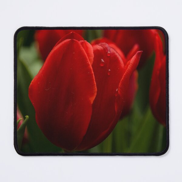 Item preview, Vivid Red Tulip Garden designed and sold by Georgia Mizuleva.