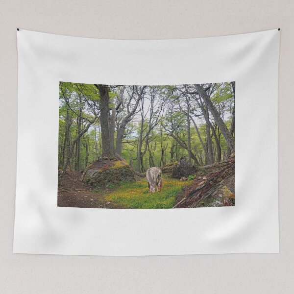 Item preview, Heading to Bahia Torito designed and sold by jmpznz.
