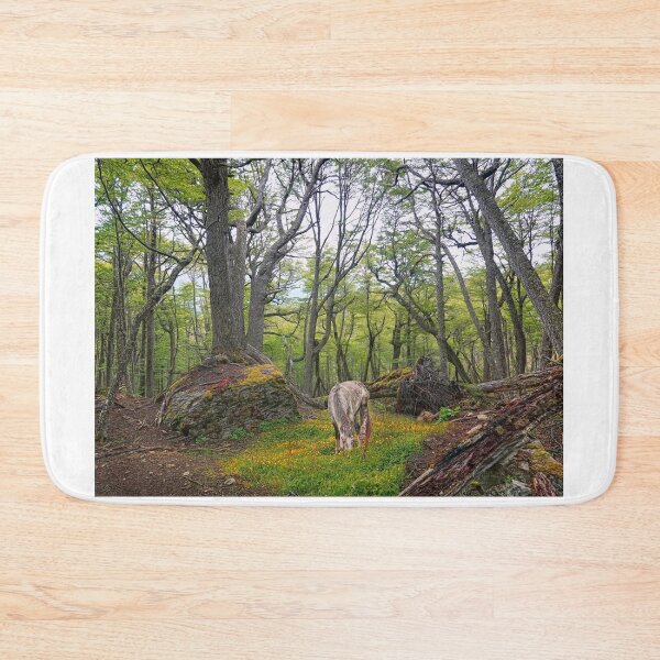Item preview, Heading to Bahia Torito designed and sold by jmpznz.