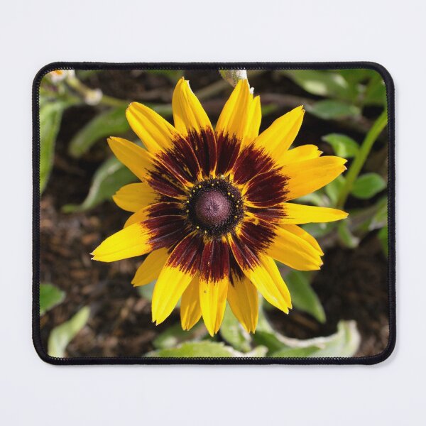 Item preview, Mini Macro Sunflower designed and sold by LayoverJourney.