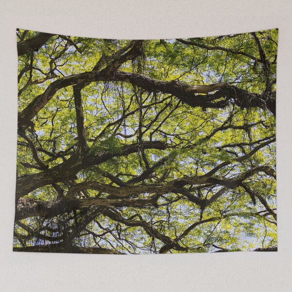 Item preview, Nature designed and sold by Philipe3d.