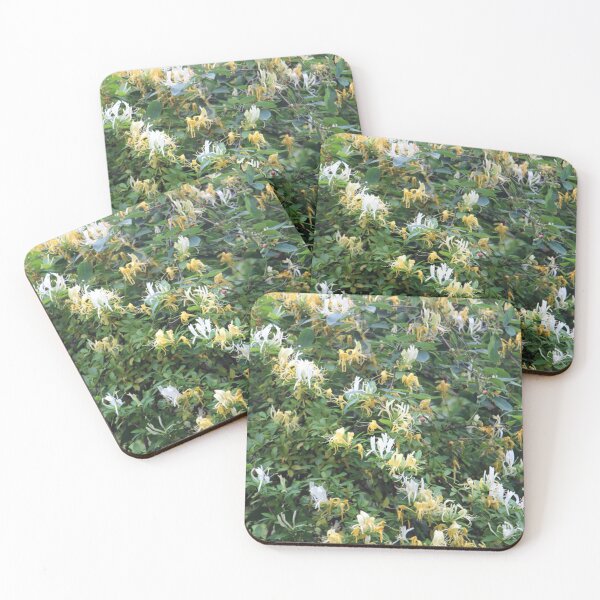 Item preview, Large White and Yellow Honeysuckle Bush with Many Flowers designed and sold by JariHawk.
