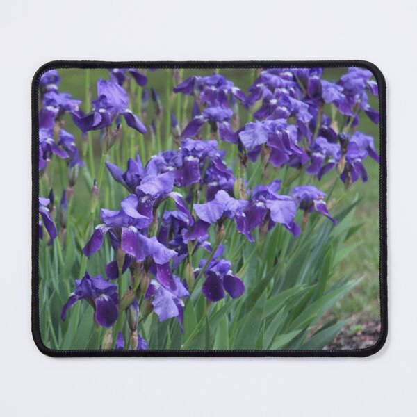 Item preview, Lovely Purple Irises Nature Scene Green Grass Background designed and sold by JariHawk.