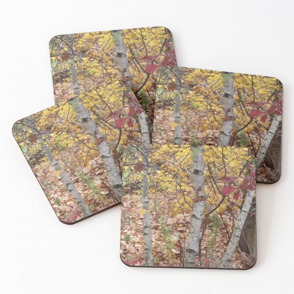 Item preview, Birch Trees in Autumn Colorful Woodland Yellow Green Rust designed and sold by JariHawk.