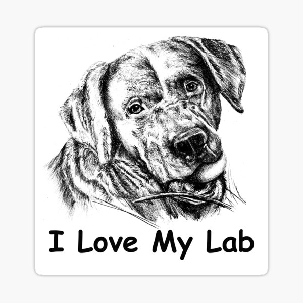 I Love My Lab Sticker