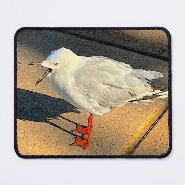 Item preview, Australian Seagull Original designed and sold by SimpleJoyStyle.