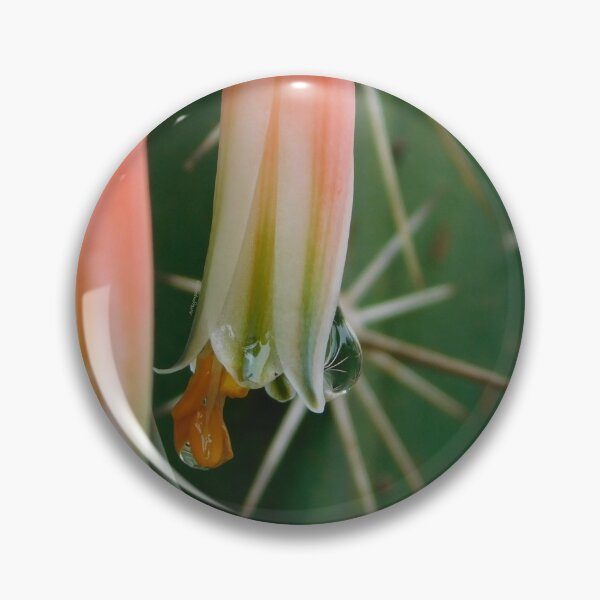 Item preview, Macro Aloe Bloom with Dew designed and sold by ArtbyMparrish .