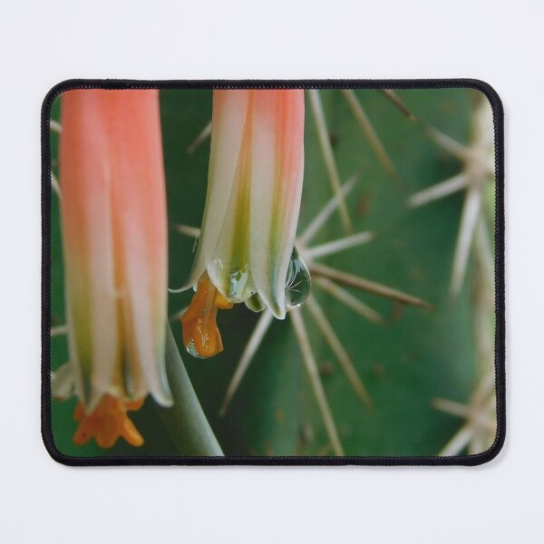Item preview, Macro Aloe Bloom with Dew designed and sold by ArtbyMparrish .