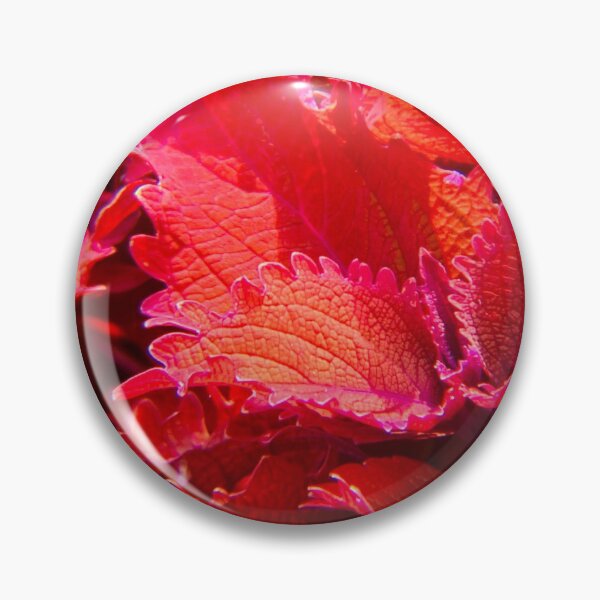 Item preview, Red Leaves designed and sold by Inkgauged2.