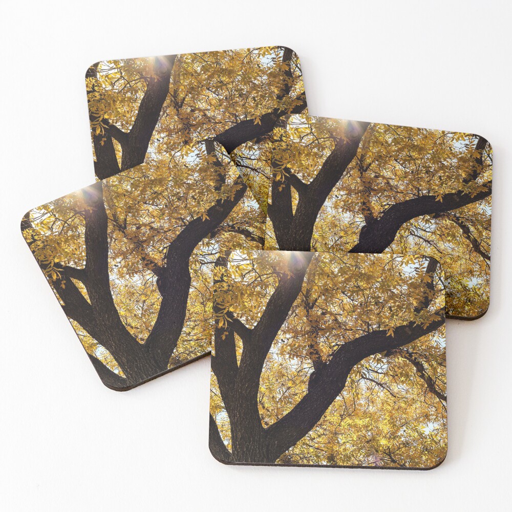 Item preview, Coasters (Set of 4) designed and sold by Ryleecherne.
