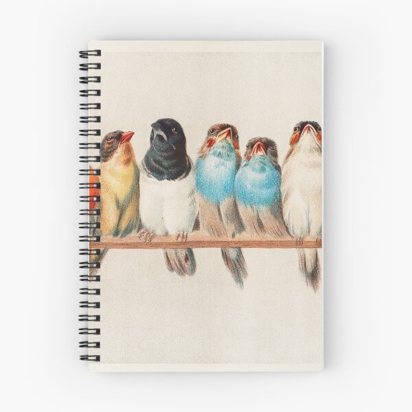 Item preview, Birds on a ledge designed and sold by bigchungor.