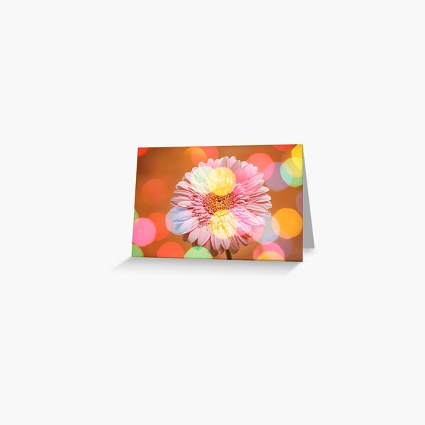 Gerbera Greeting Card
