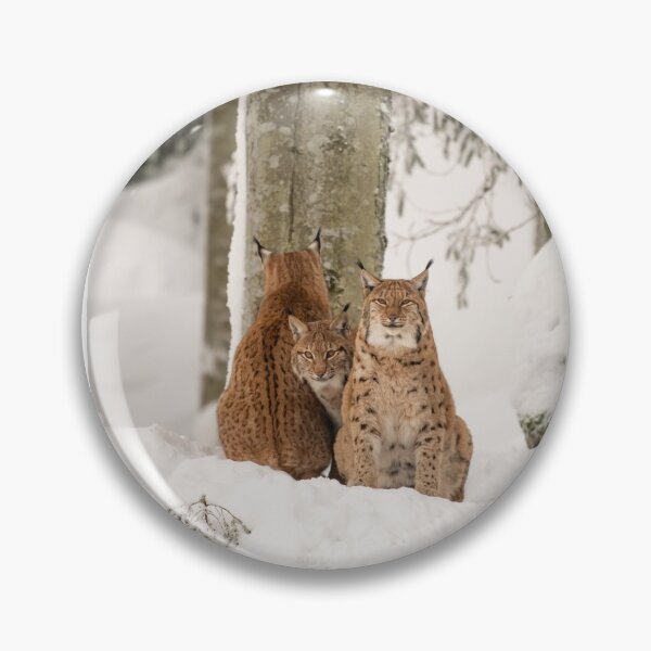 Item preview, Three lynx in the deep snow designed and sold by Ingo Gerlach.