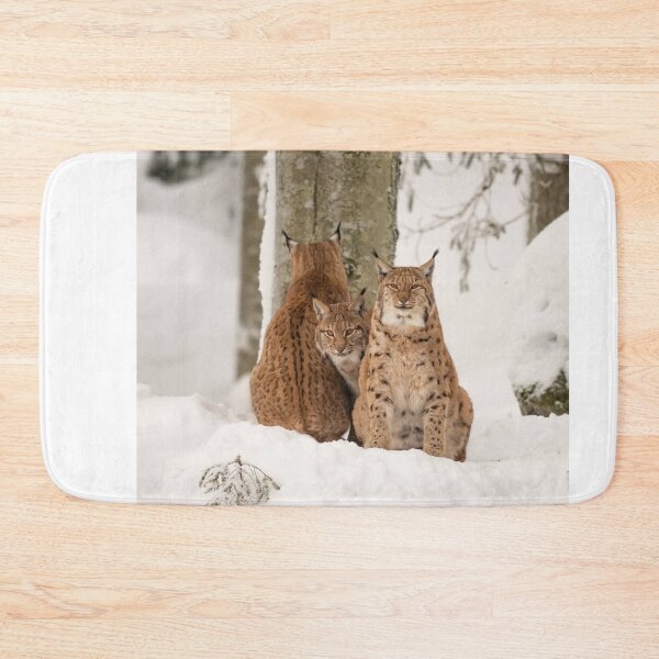 Item preview, Three lynx in the deep snow designed and sold by Ingo Gerlach.