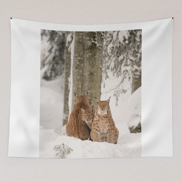 Item preview, Three lynx in the deep snow designed and sold by Ingo Gerlach.
