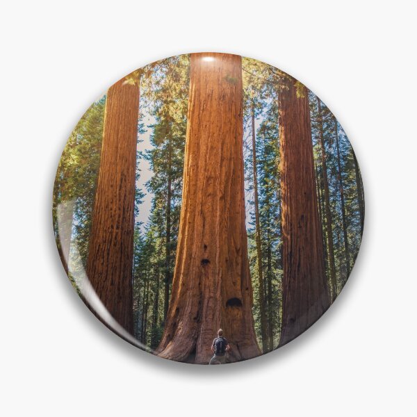 Item preview, Redwood National Park designed and sold by JoshuaDarbon94.