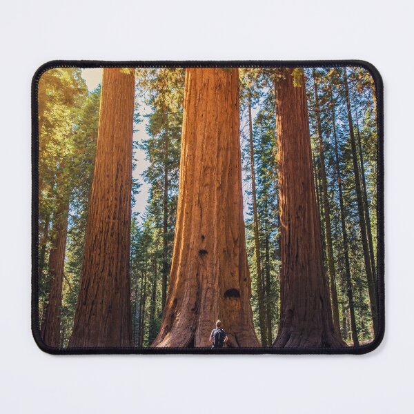 Item preview, Redwood National Park designed and sold by JoshuaDarbon94.
