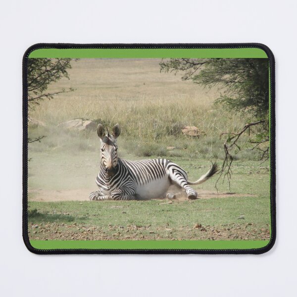 Item preview, Hartmann Zebra sandbathing designed and sold by thula.