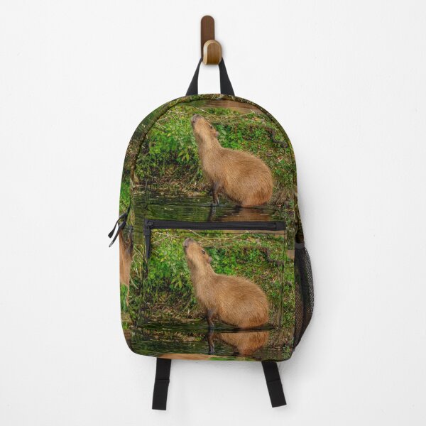 Item preview, Capybara taking the morning air designed and sold by Dalyndigital Photography.