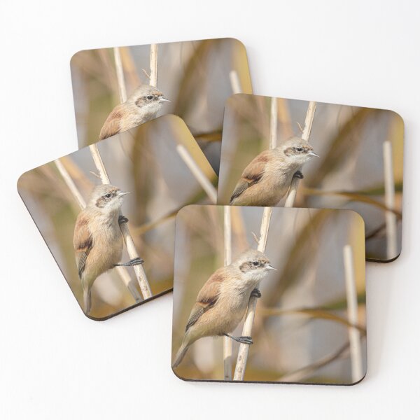 Item preview, Eurasian penduline tit designed and sold by Stefan Rotter.