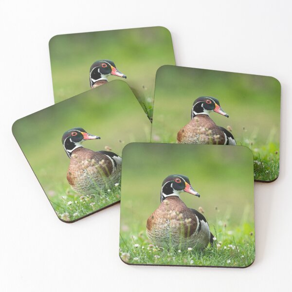 Item preview, Wood duck on a meadow designed and sold by Stefan Rotter.
