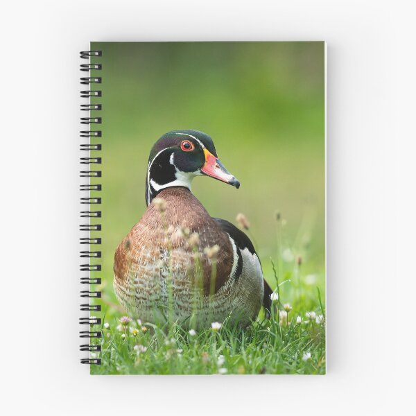 Item preview, Wood duck on a meadow designed and sold by Stefan Rotter.