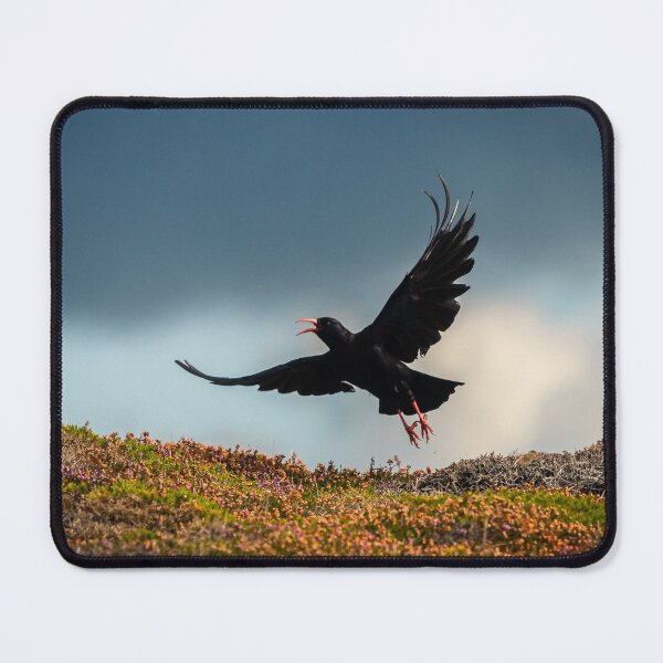 Item preview, Let's fly away designed and sold by Stefan Rotter.