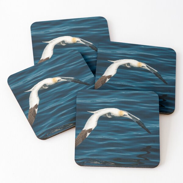 Item preview, A Northern Gannet in flight designed and sold by Stefan Rotter.