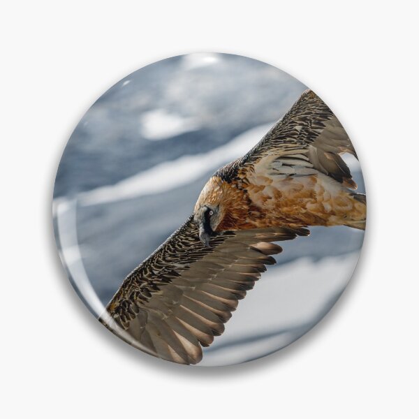 Item preview, An adult bearded vulture in flight designed and sold by Stefan Rotter.