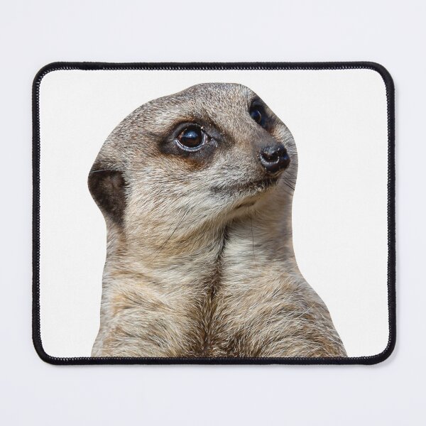 Item preview, Alert Meerkat designed and sold by Dalyndigital Photography.