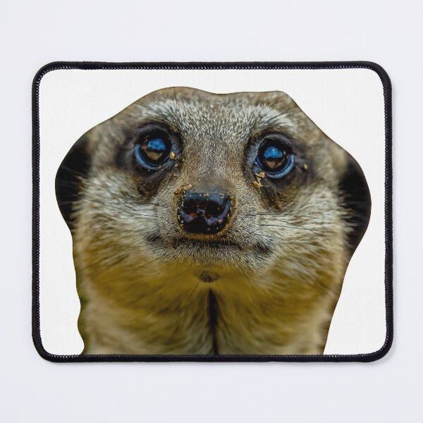 Item preview, Meerkat Face designed and sold by Dalyndigital Photography.