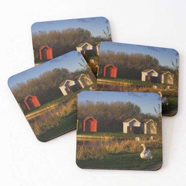 Item preview, Lone swan on the canal bank in helix park designed and sold by Ann Biddlecombe.