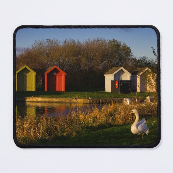 Item preview, Lone swan on the canal bank in helix park designed and sold by Ann Biddlecombe.