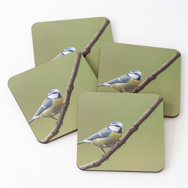 Item preview, A blue tit sitting on a branch designed and sold by Stefan Rotter.