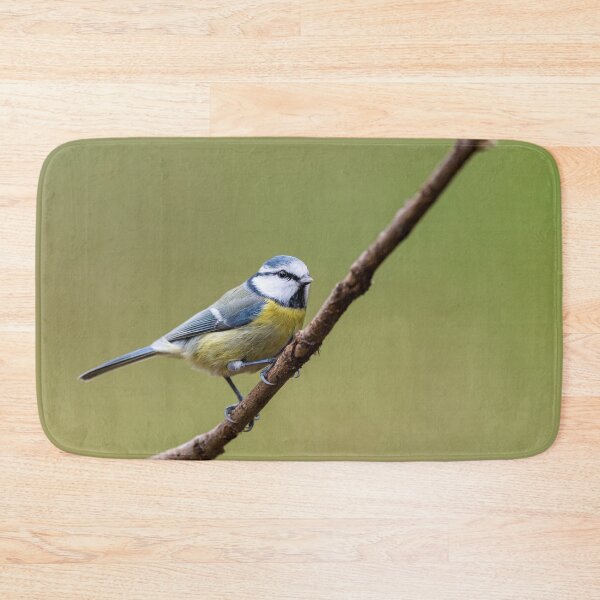 Item preview, A blue tit sitting on a branch designed and sold by Stefan Rotter.